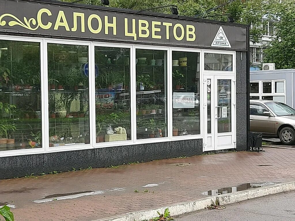 цветочный крона красноярск. магазин крона улан-удэ. магазин цветочный крона красноярск. крона цветы красноярск. крона цветы красноярск сайт.