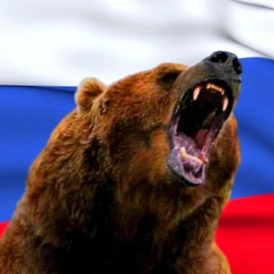 Русский медведь телефон. Медведь Россия. Флаг России с медведем. Медведь на фоне российского флага. Россия сила.