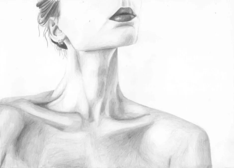 Шея рисунок. Шея карандашом. Рисование ключиц. Ключицы карандашом. Наброски шеи.