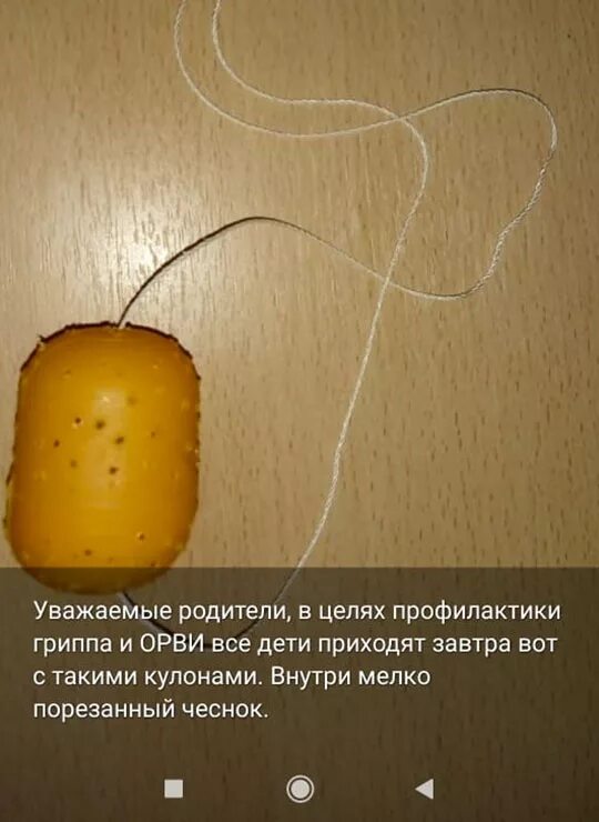 Чеснок в киндере на шею. Кулон с чесноком из киндера. яйцо от киндера с чесноком. амулет с чесноком из киндера. чесночный кулон из киндер сюрприза.