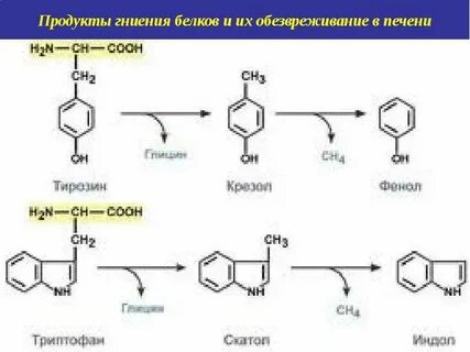 Обезвреживание пищи