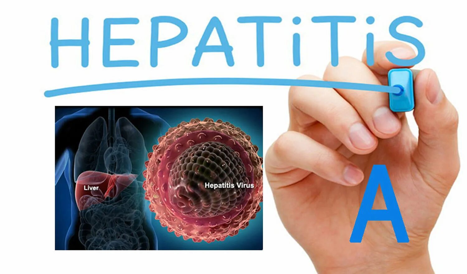 Вирус гепатита в. Гепатит а последствия