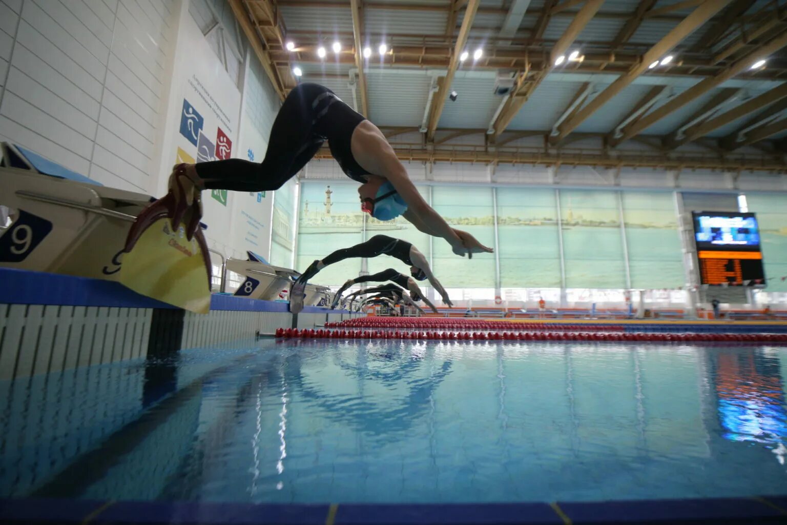 Купание ныряние прыжки. Подводное плавание в ластах. Чемпионка мира по плаванию с ластами софья. Лев штрайх плавание. Бассейн лазурный ярославль первенство россии подводный спорт.