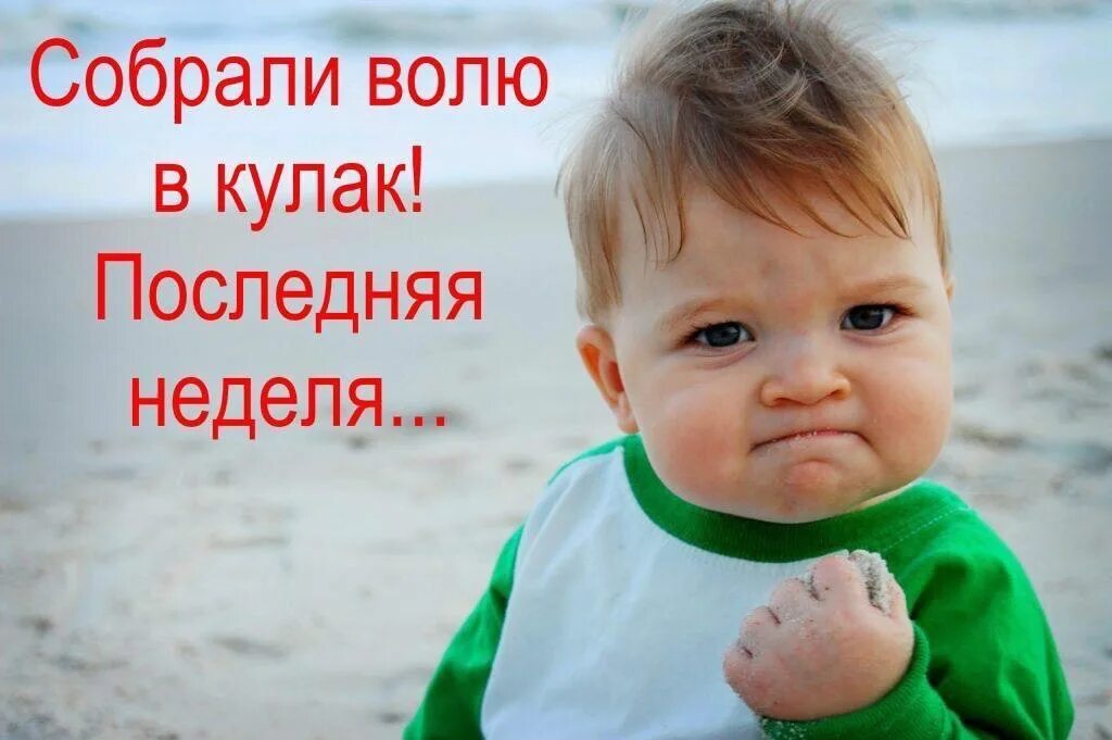 Волю собрав. Собрать волю в кулак. воля в кулаке. успех мем. собрали волю в кулак последний день.