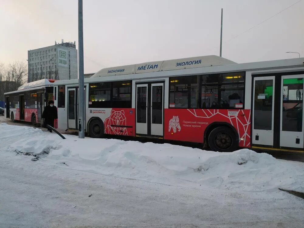 Пермские автобусы. Пермский автобус 2021. Новые автобусы в Перми. 4 Автобус Пермь.