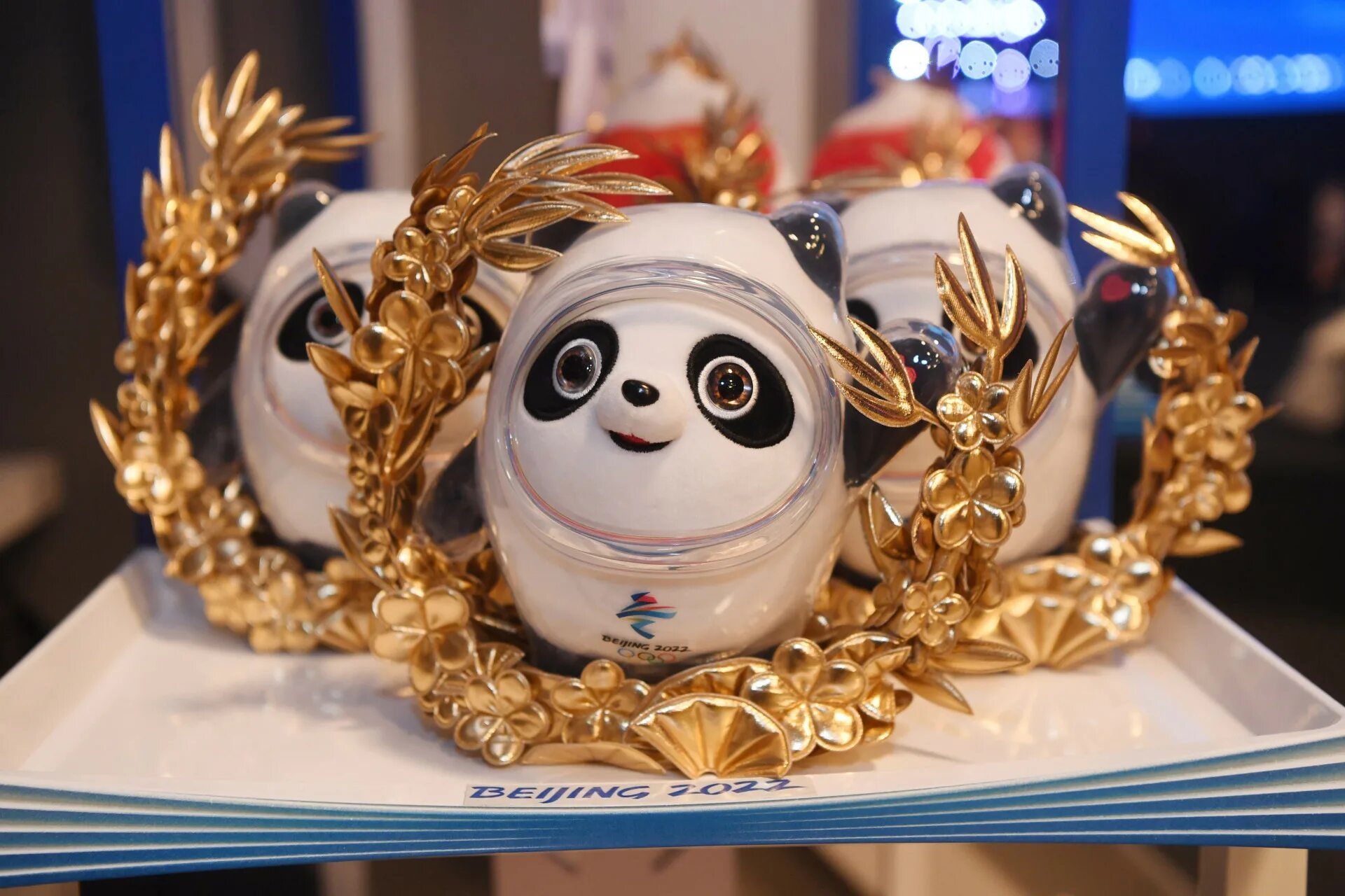 Символ олимпийских игр панда. Бин дунь дунь 5 букв сканворд. Талисман зимней олимпиады 2022г. Талисман олимпийских игр панда. Талисман олимпийских игр в пекине 2022.