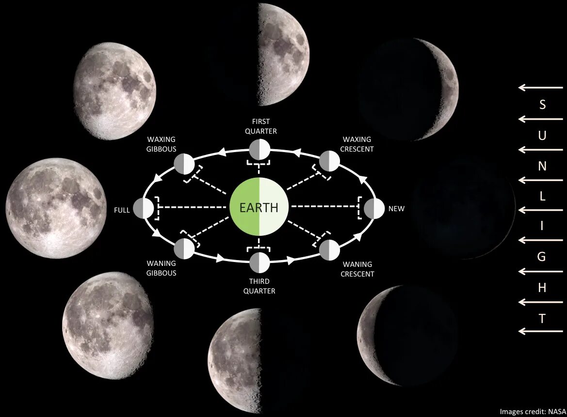 Фаза луны 8 апреля 2024. Фазы Луны. Макет фазы Луны. Фазы Луны модель. 1 Фаза Луны.