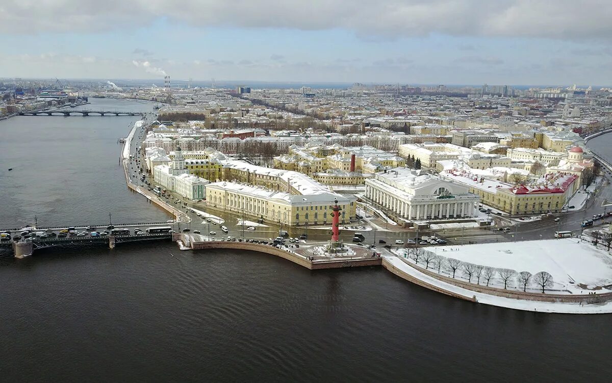 Зоологический музей Санкт-Петербург. Музеи на Васильевском острове в Санкт-Петербурге. Стрелка Васильевского острова Санкт-Петербург. Зоологический музей на стрелке Васильевского острова.