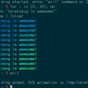 Python месяца