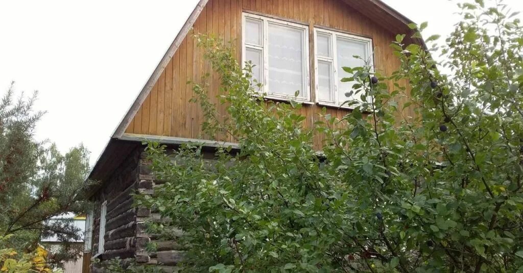 Посёлок новый свет гатчинский. Домодедово снт амарант. Криулино (московская область). Павлово снт. Снт новой москвы.