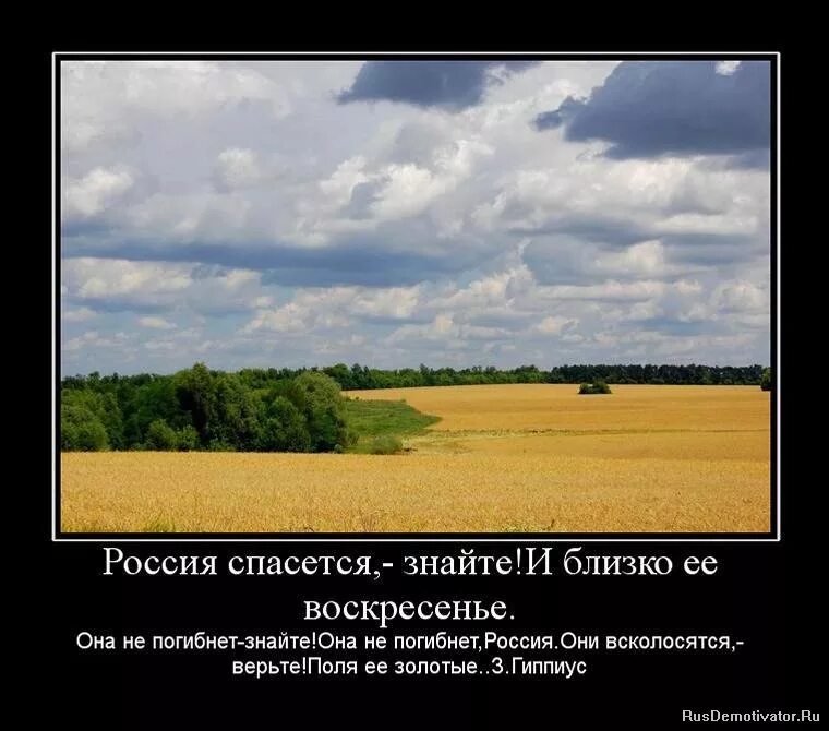 Жить и умирать в россии. Великая Россия демотиватор. Смешные демотиваторы про Россию. Величие России демотиваторы. Величие России картинки.