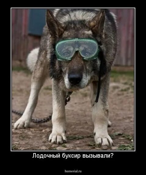 Подходите ка поближе