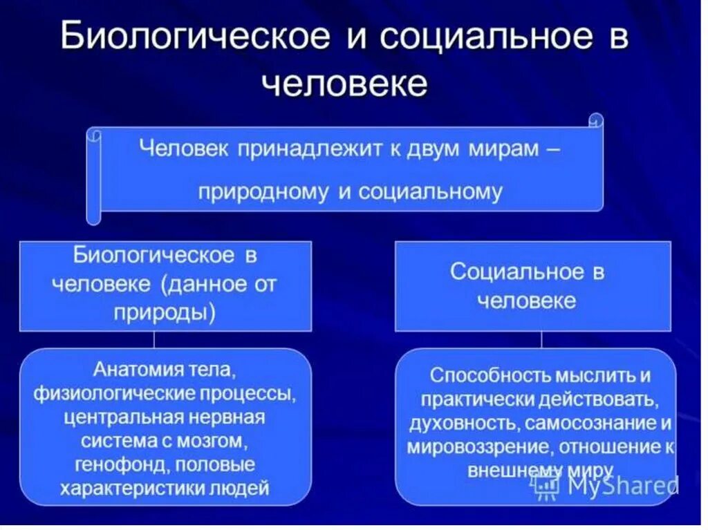 Соотношение биологического и социального в человеке философия. Социальное в человеке. Природное и социальное в человеке. Взаимосвязь социального и биологического. Проблемы сущности жизни