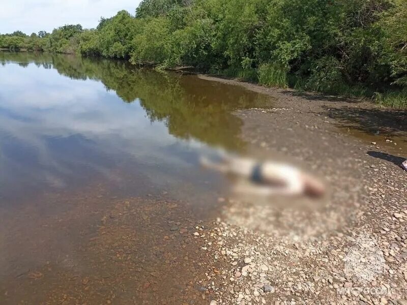 Человек утонул в реке. Река Куэнга Забайкальский край. Река. Вода река. Купаться в реке.