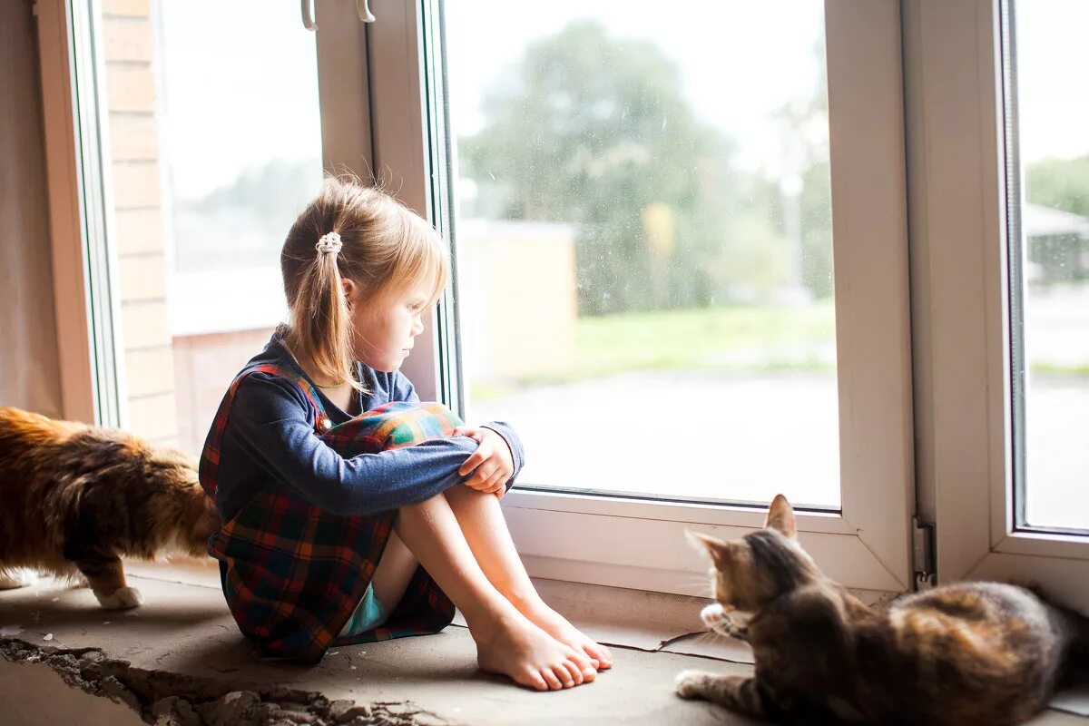 Сижу дома детский. Детская фотосессия с собакой. Сижу дома детский. Сижу дома детский. Ребенок у окна.