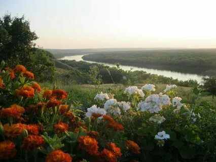 Ростов на дону волгоградской
