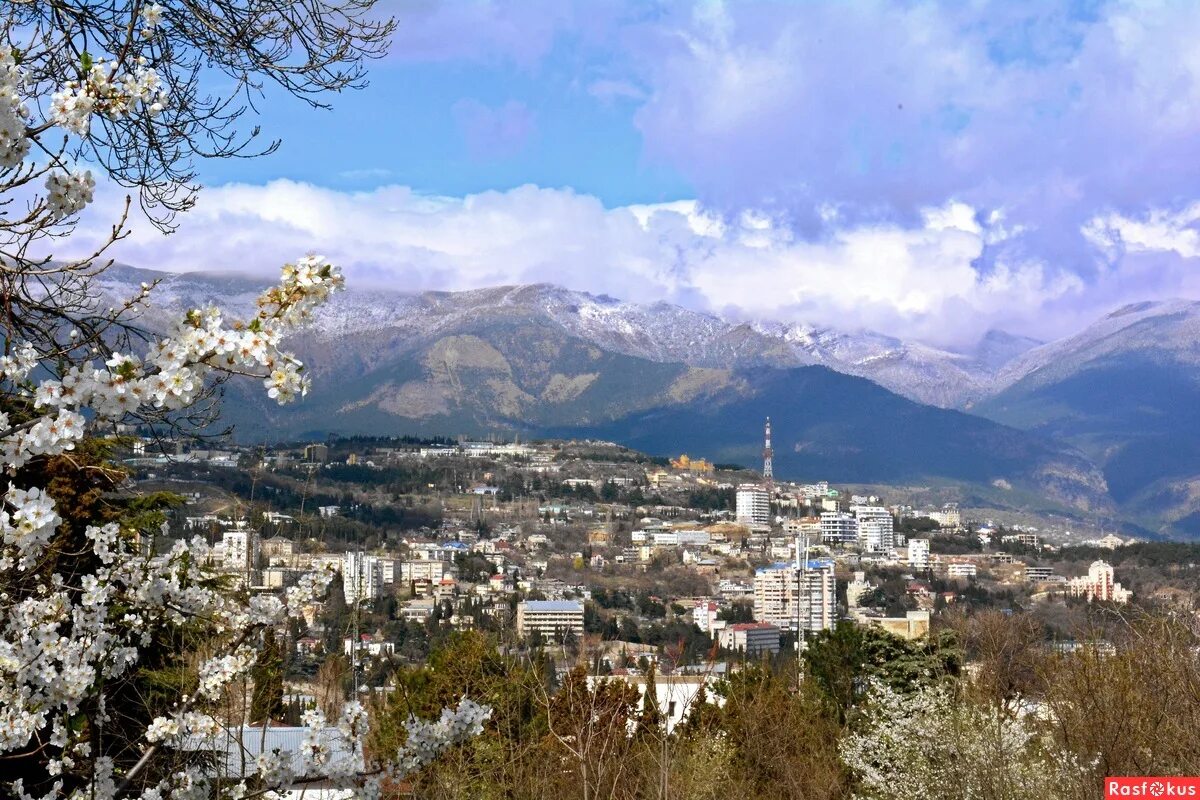 Крым весной Ялта. Ялта март. Крым Ялта март. Давай ялта