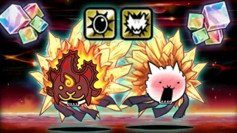 Awakened cat