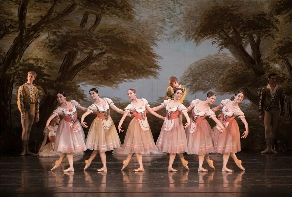 жизель балет станиславского. балет жизель театр станиславского. жизель балет немировича данченко. балет жизель театр станиславского. жизель виллисы.