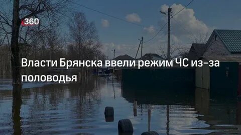 В брянске ввели кто