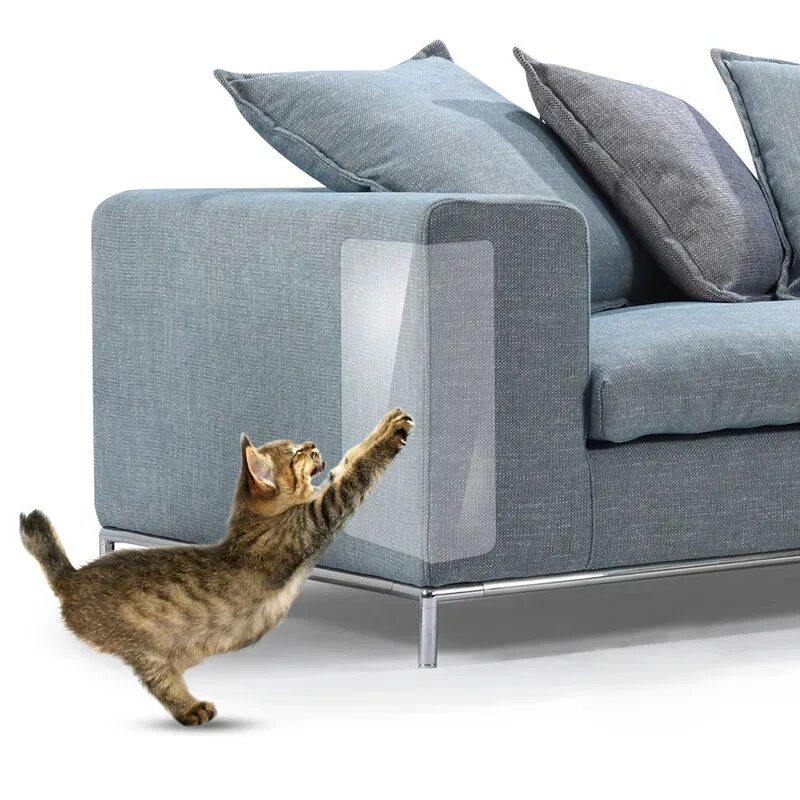 Кэт софа оригинал. Диванчик для кошки. Диван кошка. Накладки на диван от кошек. Кот на диване.