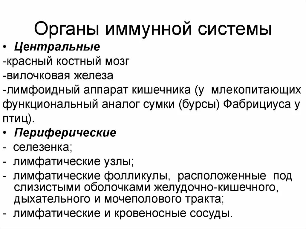 Какие структуры человеческого организма составляют систему иммунитета