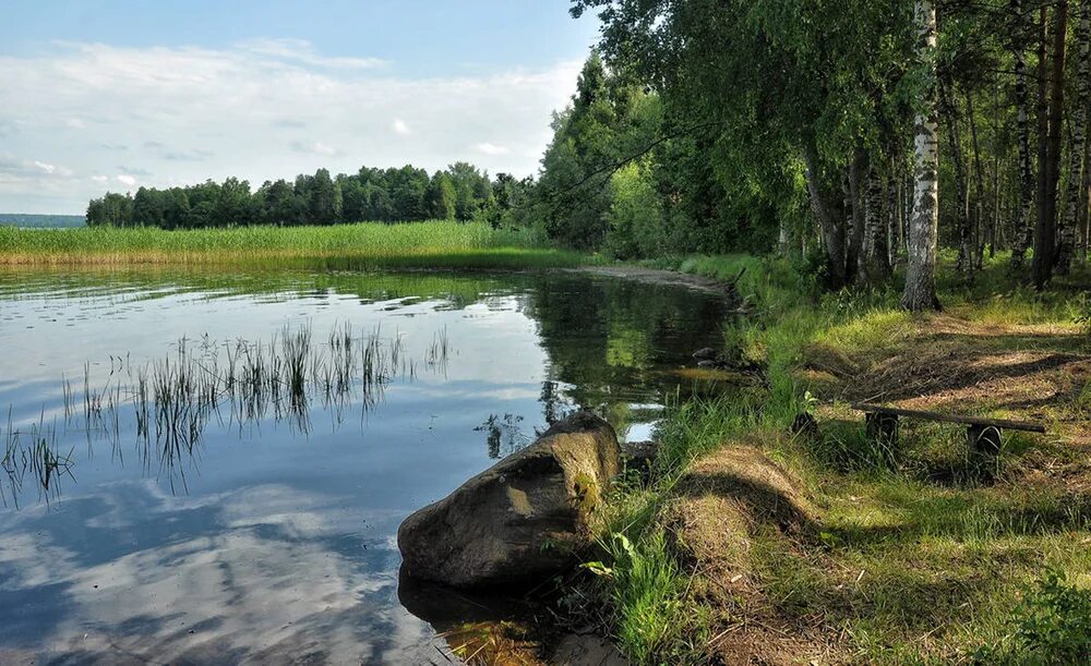 Водные богатства ленинградской области. Озеро Отрадное Ленинградская область. Оз Отрадное Приозерский. Отрадненское озеро Приозерский район. Отрадное (озеро) озёра Приозерского района.