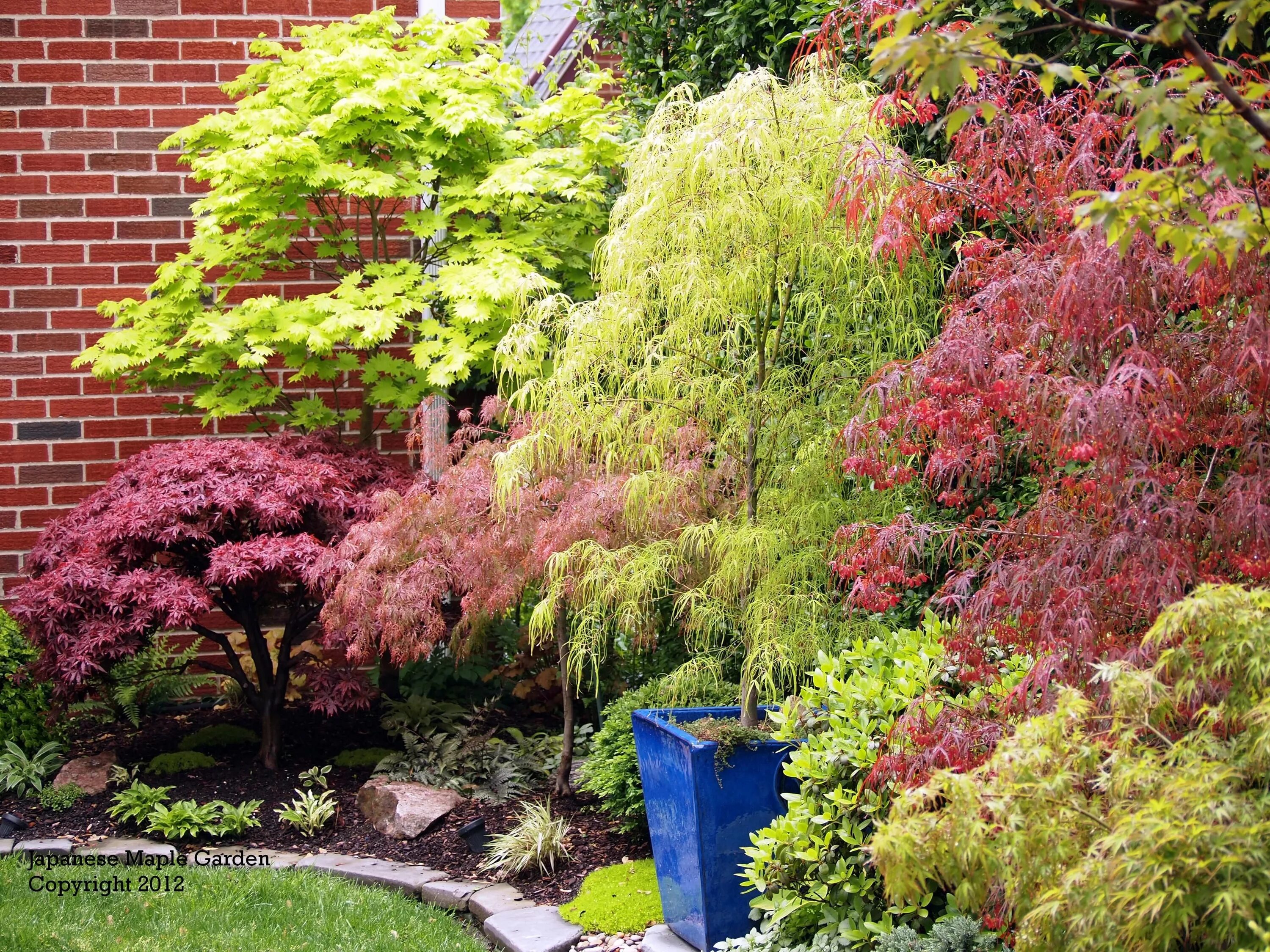Gerelateerde afbeelding Garden landscape design, Landscape, Patio trees
