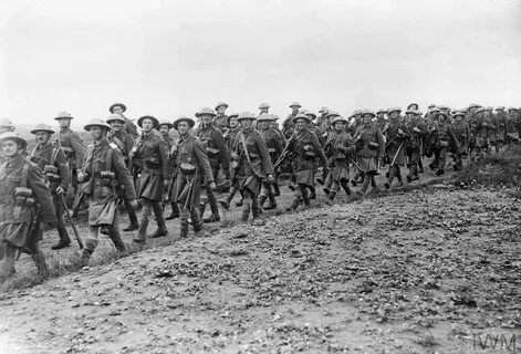 Ww1 форум