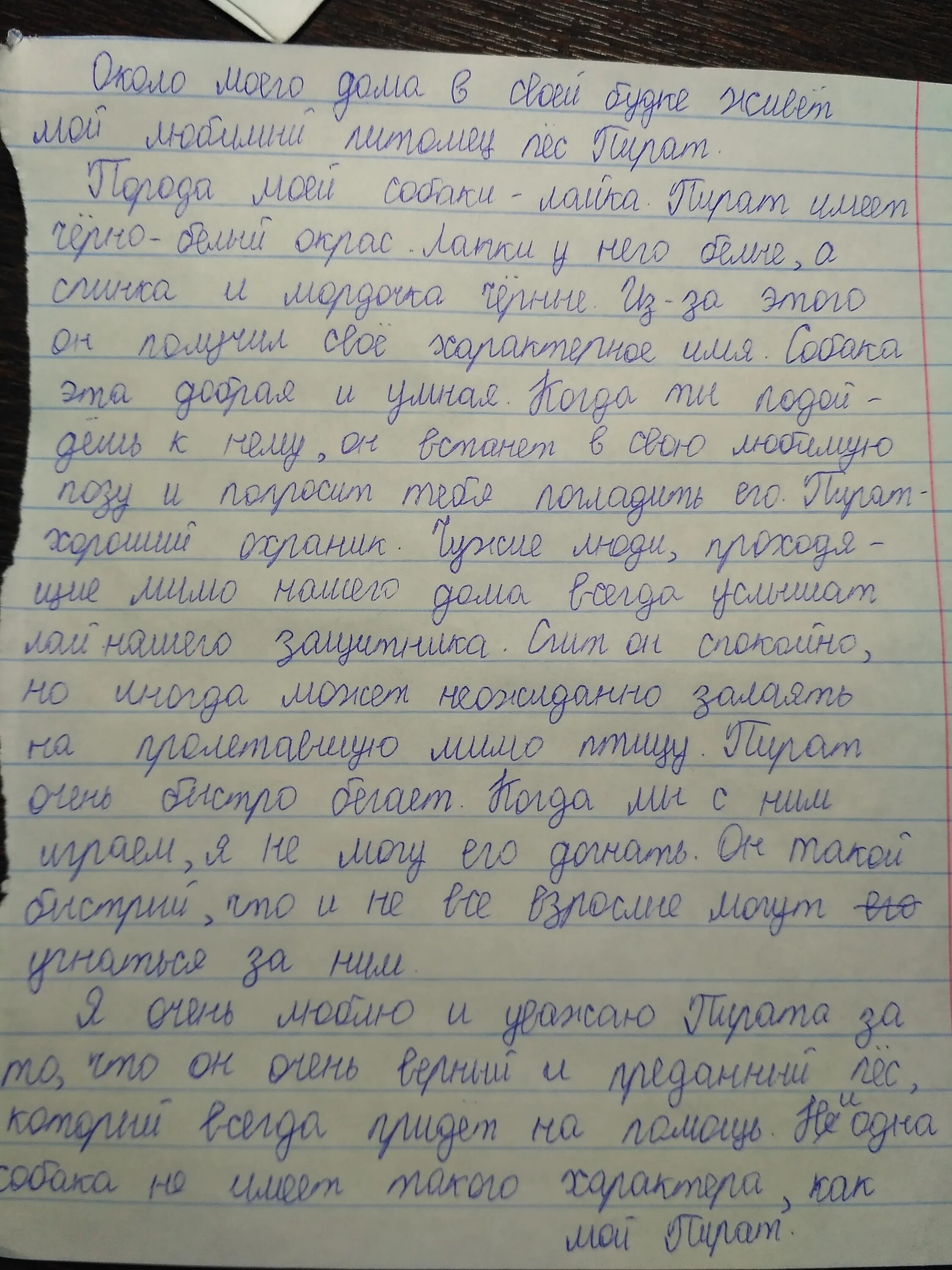 Сочинение моя любимая собака 5 класс. Любимый питомец сочинение. Сочинение моё любимое животное. Сочинение Мои любимые животные. Мой любимый животный сочинение.