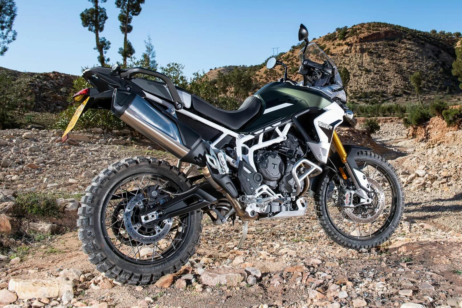Размеры мотоцикла tiger 900. Triumph tiger 900 rally. Triumph tiger 900 2020. Триумф тайгер 900 ралли про. Triumph tiger 900 rally pro.