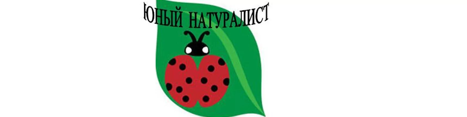 Представители натурализма. Писатели натуралисты для детей. Писатели-натуралисты название мероприятий. Бианки. Писатели натуралисты для детей.