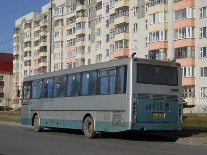 Автобус 427