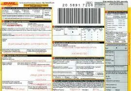 Dhl лейбл. Dhl образец заполнения. Номер накладной dhl. Dhl квитанция. Dhl заполнение накладной образец.