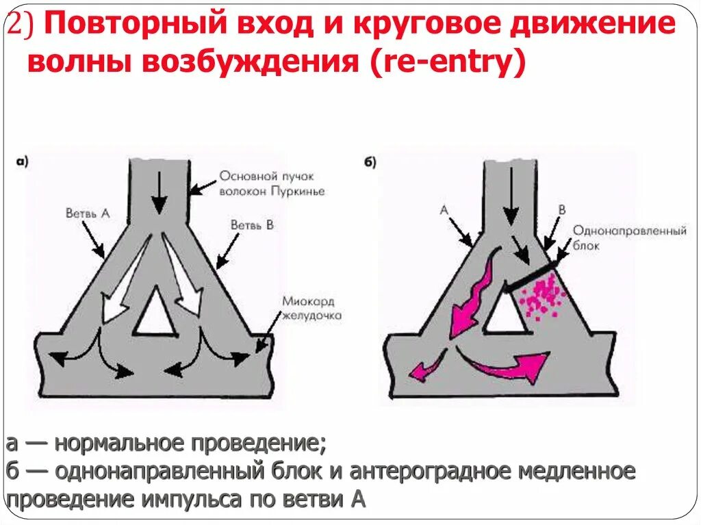 Повторное движение