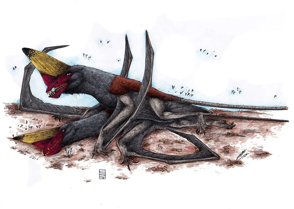 All your yesterdays. All yesterdays. All yesterdays. морда динозавра анфас. John conway (palaeoartist).