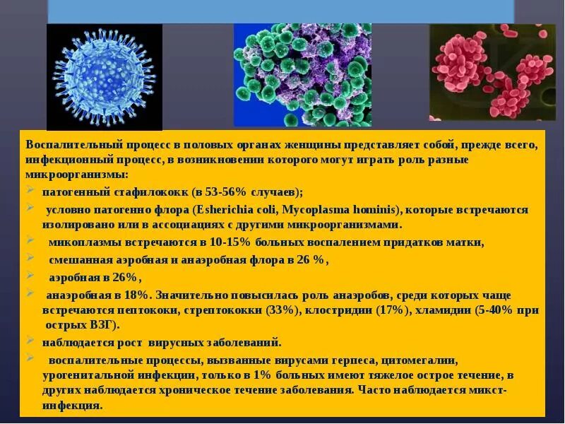 Дерматолог половых органов. Дерматолог половых органов. Дерматолог половых органов. Дерматолог половых органов. Осмотр дерматовенеролога.