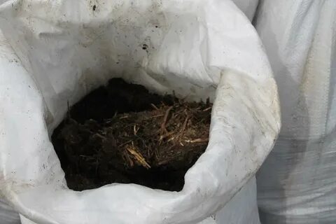 Помет во сне к чему снятся