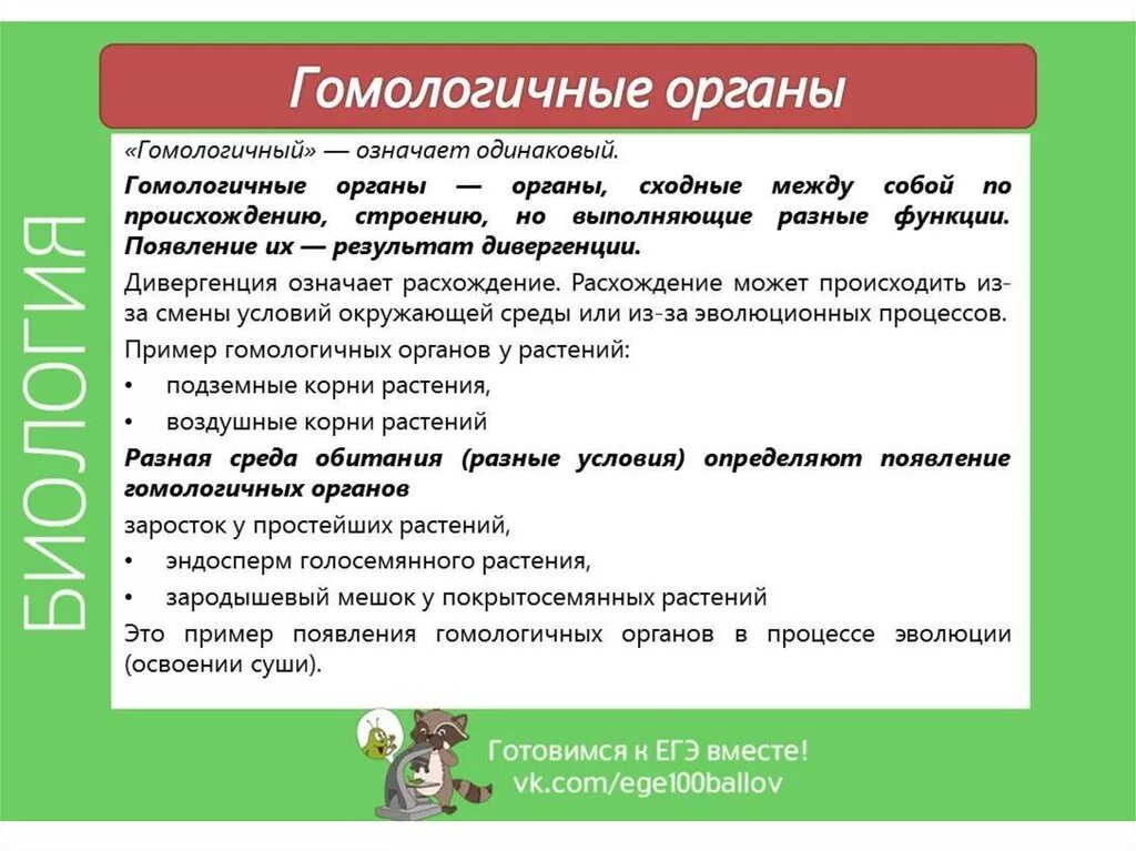 Гомологичные и аналогичные органы. Гомологичные органы примеры. Органы гомологи и аналоги. Гомологи и аналоги у растений.