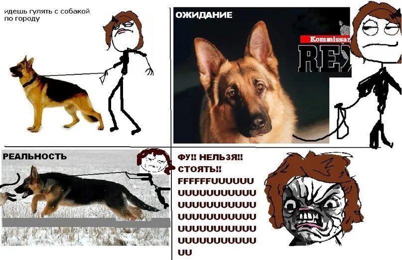 Гулять с собакой. Гулять с собакой. Гулять с собакой. Поводок для собак. Поводок для собак.