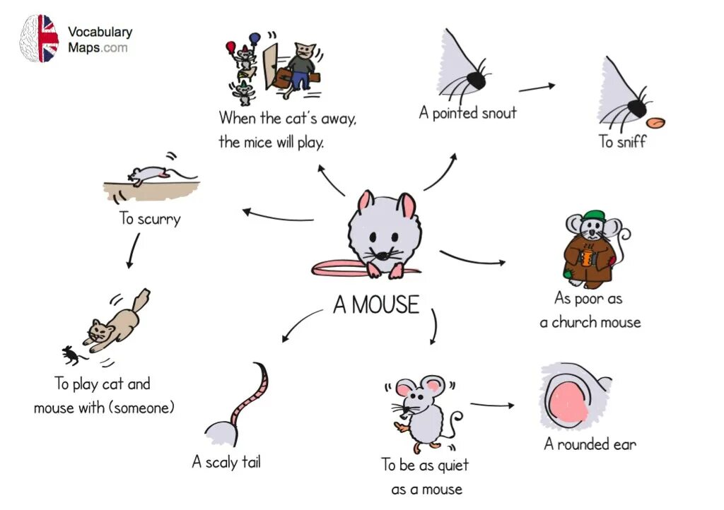 Vocabulary Maps. Карточки для изучения английского языка Mouse. Mind Map English Vocabulary. Vocabulary for Map. С английского на русский язык mice