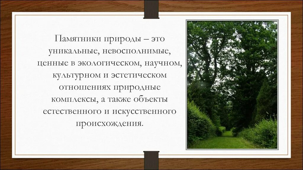 Памятники природы это определение. Памятники природы это в экологии. Природные памятники это определение. Биологические памятники природы.