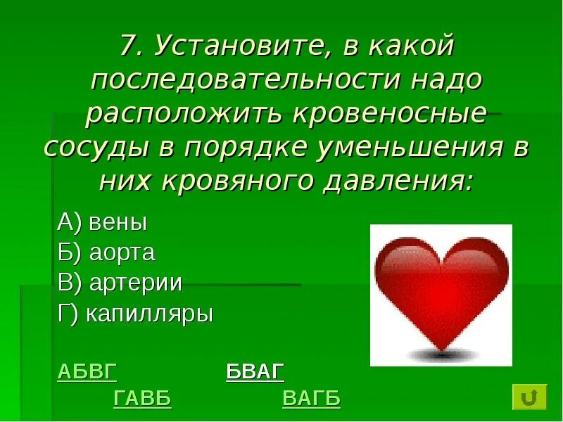 Установите последовательность расположения кровеносных сосудов. Установите последовательность расположения кровеносных сосудов
