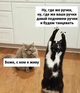 Ну где же ваши ручки кто