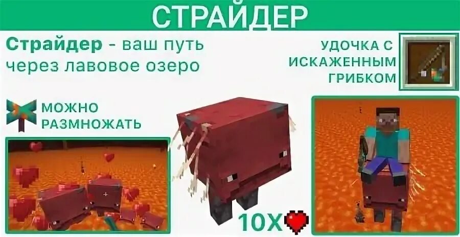 Лавомерка как управлять. Лавомерка. лавомерки майнкрафт. лавомерки вики. чем питаются лавомерки майнкрафт.