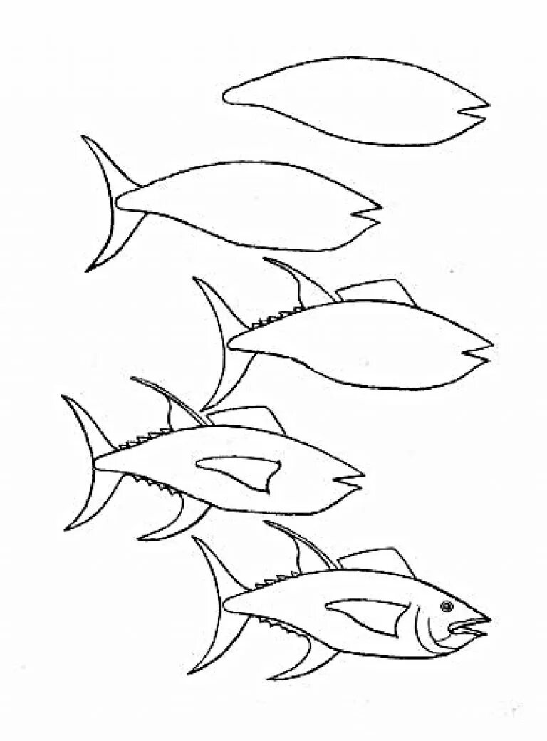Рисование рыбки. Рыбка рисунок карандашом. Поэтапное рисование рыбки. Поэтапное рисование рыбы для дошкольников. Нарисовать рисунок рыбу