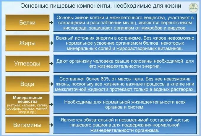Также являются основными компонентами