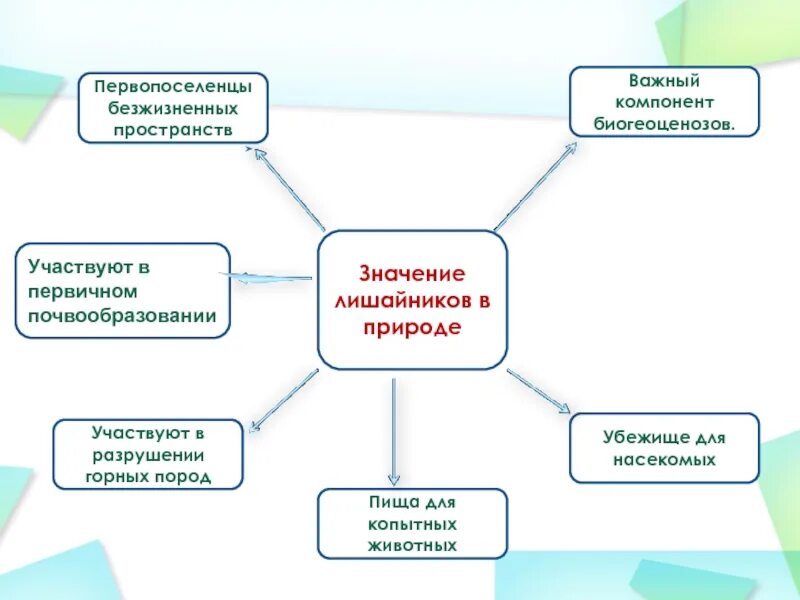 Значение лишайников в природе. Лишайники в природе. Функции лишайников в природе. Лишайники значение в природе. Роль лишайников в природе и жизни человека 5 класс биология.
