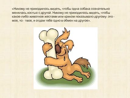 Ни одно животное не