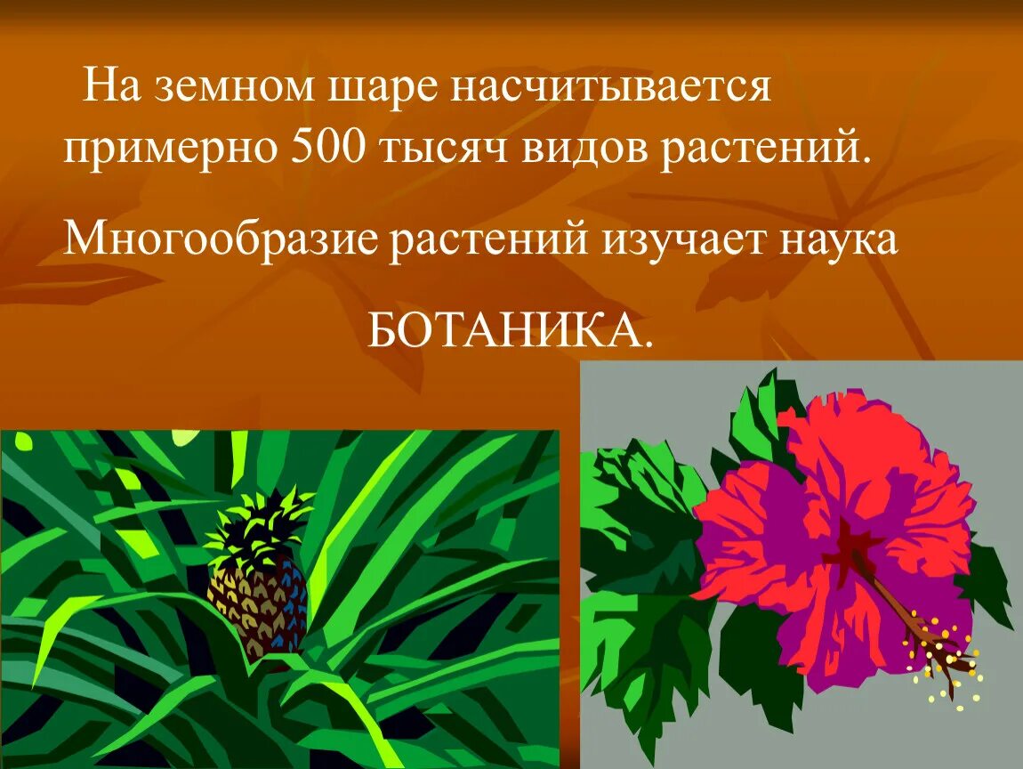 Какая наука изучает разнообразие растений. Какая наука изучает разнообразие растений